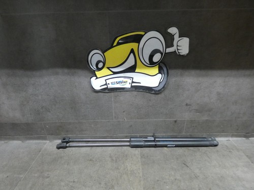 Gasfeder Dämpfer 2x 6R6827550C