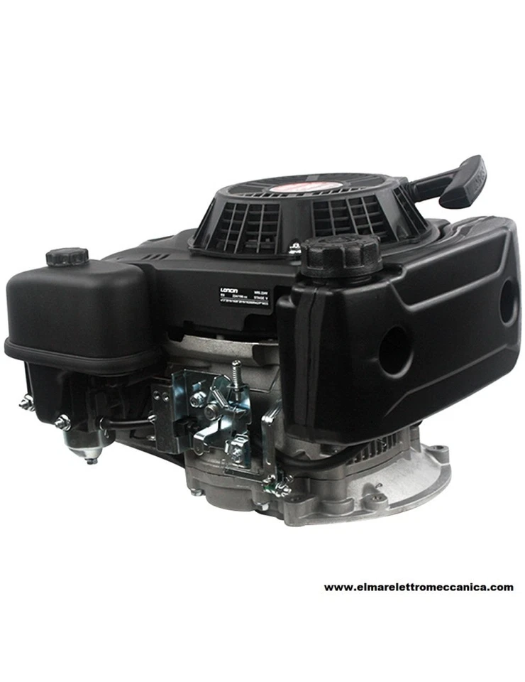 LONCIN 6.5 HP Albero 22,2 x 60 Motore Verticale VOLANO PESANTE - Imagen 2 de 4