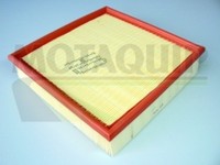 Motaquip Luftfilter VFA732 Filtereinsatz FüR Opel Omega V94 Caravan F35 M35 P35