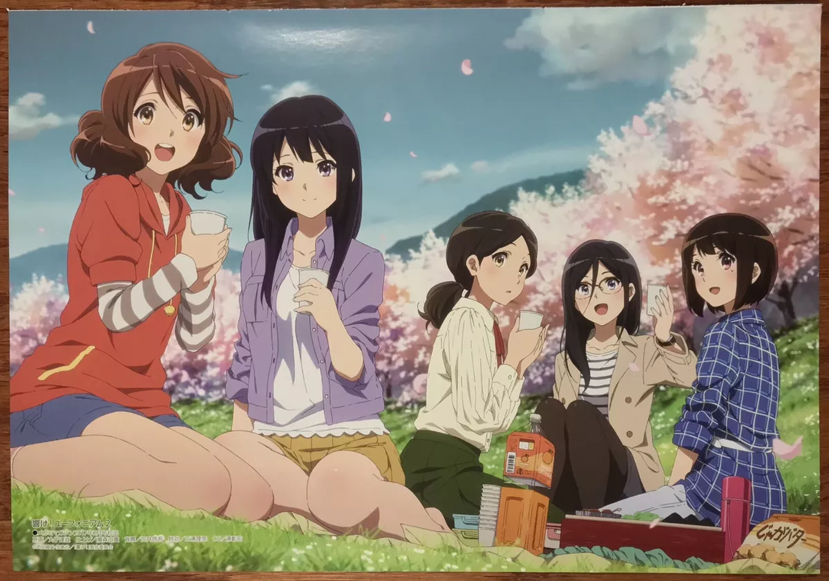 Hibike euphonium deals