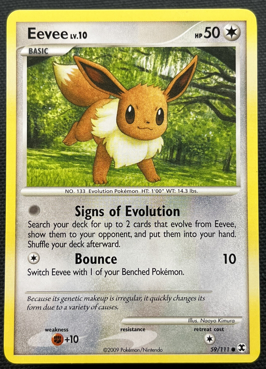 Eevee - 59/111 - Common LP, English Pokemon Rising Rivals