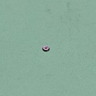 Bild 29 von 69