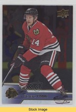 2016-17 Upper Deck Silver Foil Richard Panik #293 READ 2bd