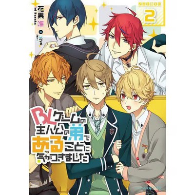 BL Series Brother Character Novel Japan Import Used