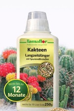 Kakteend&uuml;nger  Sukkulenten  Pflanzen Dauerd&uuml;nger wirkt 12 Monate  D&uuml;ngemittel