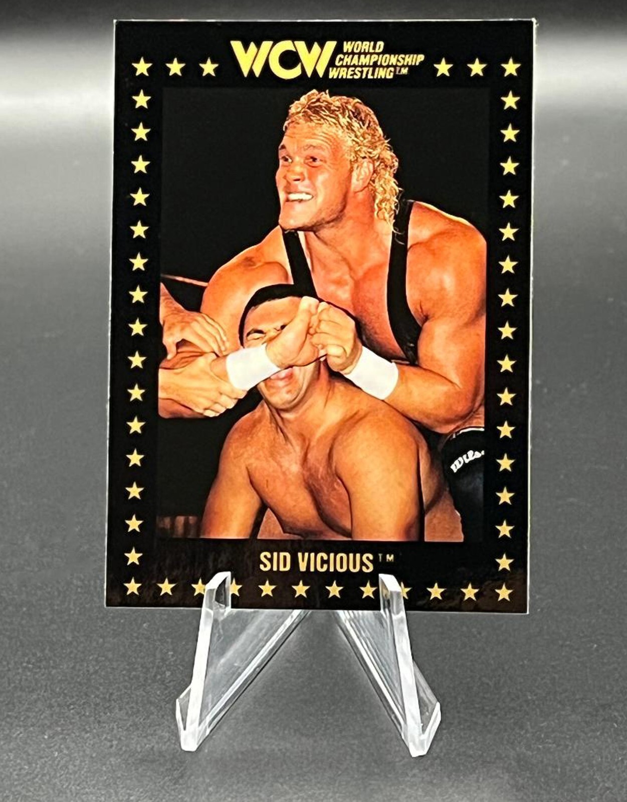 1991 Championship Marketing WCW Wrestling Card #60 Sid Vicious NM