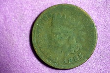  on The Hot Collector