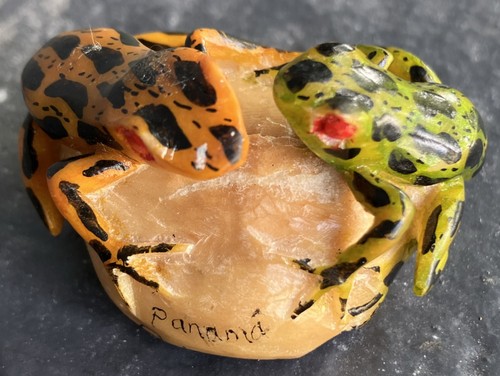 Vintage Poison Dart Frogs Tagua Carving Artist Signed Cristo Quiro Panama
