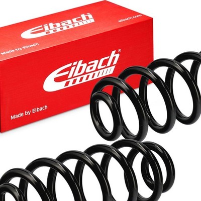 2x EIBACH ERL OE Line Federn Fahrwerksfedern Hinten