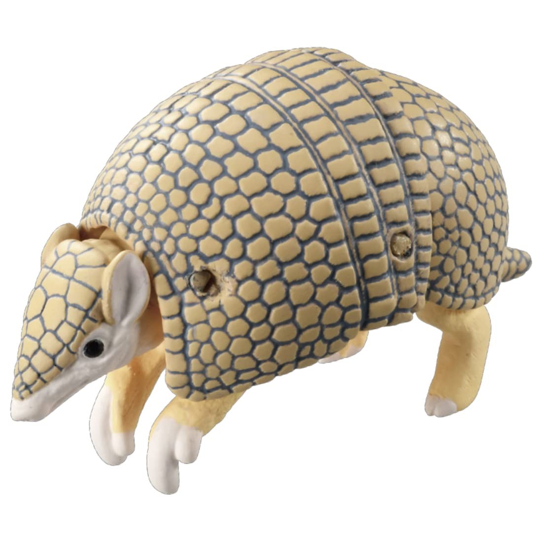 Swordfish Gomma Armadillo Colorata – Senza PVC, Personalizzabile, Confezione Da 1, Colori Assortiti (rif. 40334) - 3