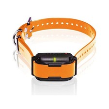 Dogtra Edge RT Dog Collar Receiver with ORANGE Strap