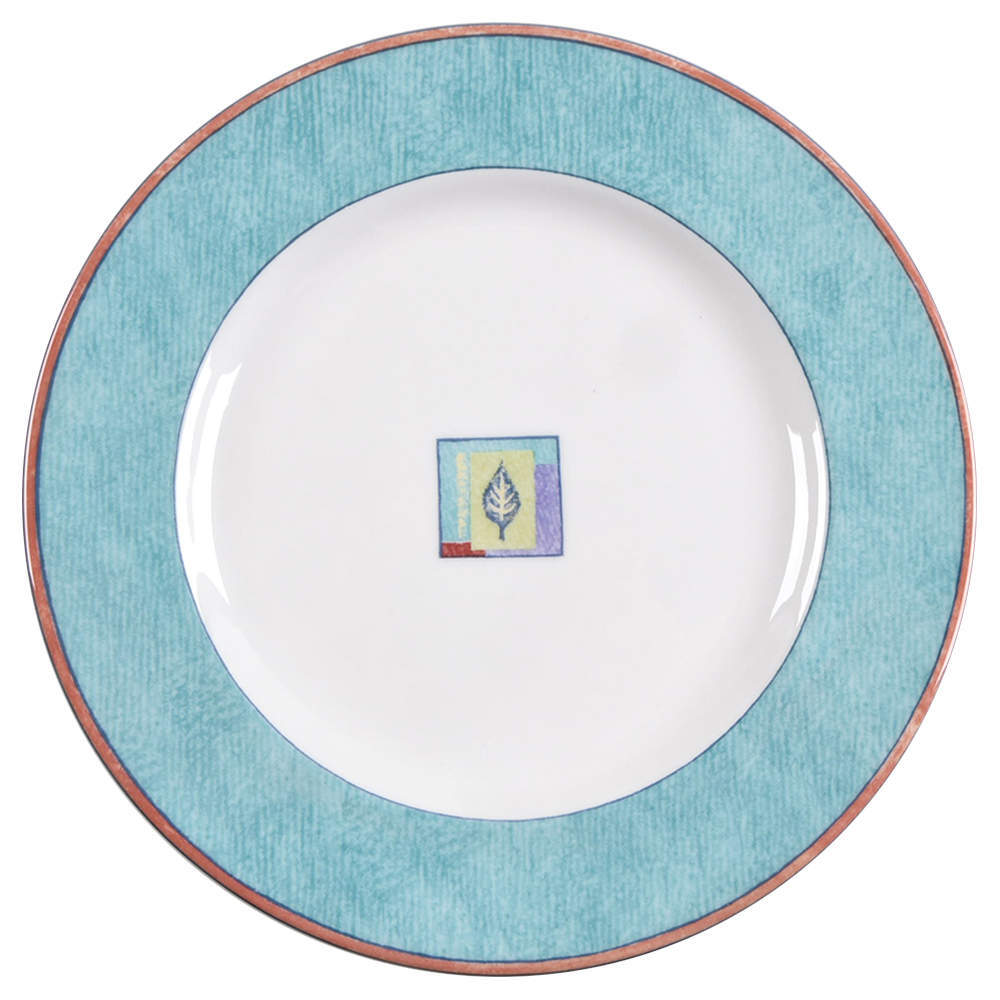 Royal Doulton Trailfinder Accent Salad Plate 6419848