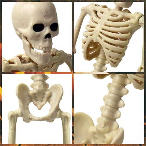 16" Halloween Skeleton Decorative,Spooky Lawn & Haunted House Props with - Picture 6 of 8