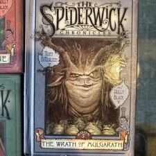 Lot of 5: The Spiderwick Chronicles - Complete 5 Hardcover Book Set 1 2 3 4 5
