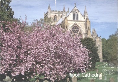 Ripon Kathedrale Kirschblüte Postkarte, Thirsk Poststempel, Yorkshire UK