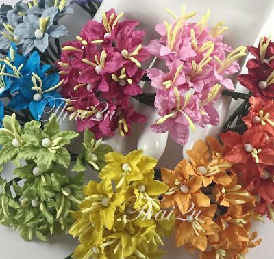1'' or 2.5cm Mini Mixed Rainbow Lily Flower Wedding Scrapbook Cardmaking LY3