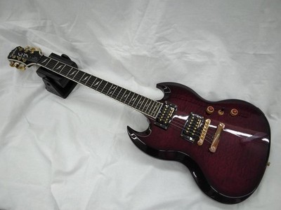 EPIPHONE SG CUSTOM PROPHECY GX E-Gitarre
