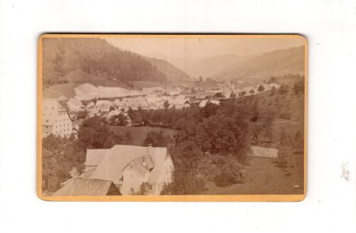 CDV Foto Historische Ansicht Weyer Markt / Österreich - 1878 - Afbeelding 1 van 2