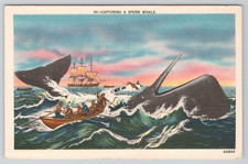 Postcard Whalers Sperm Whale