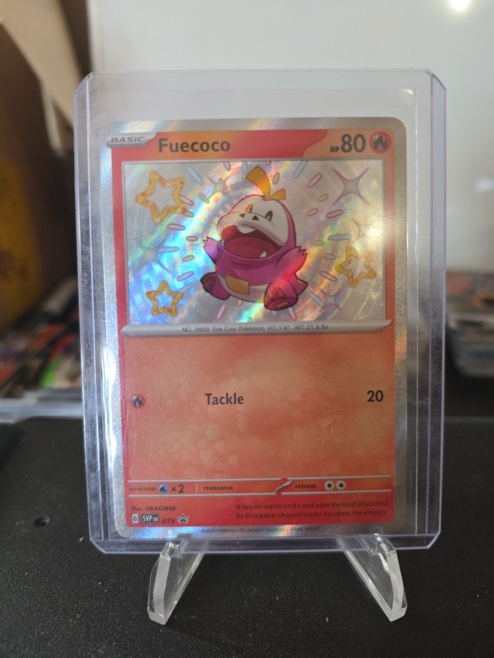 Fuecoco #79 Shiny Holo Promo Pokemon Scarlet & Violet English NM