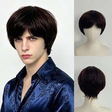 Men Cool Dark Brown Layered Short Straight Wig Side Bangs Synthetic Wig for Male