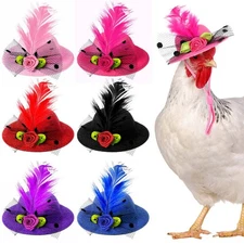 6 Pieces Chicken Hats for Hen Mini Chicken Helmet Accessories Feather Top Funny