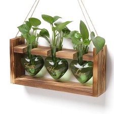 HeartShaped Glass Propagation Station for Hydroponics Home Garden Gift