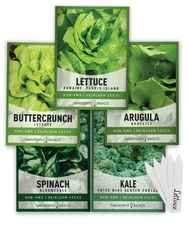 Heirloom Lettuce & Greens Seeds - Non-GMO 5 Varieties 5 Pack