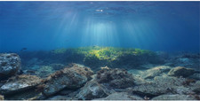 Ocean Floor Fish Tank Background Underwater Stone Aquarium Background 48x18 inch