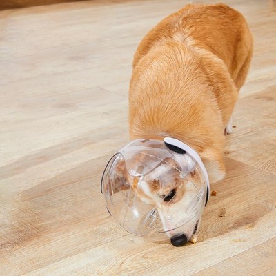 Dog Muzzle Prevent Biting Breathable Transparent Pet Hood Cat Muzzle Pet Helmet