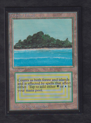 Magic MTG - Tropical Island - International Edition (Gold Edges) - NMINT- - EN
