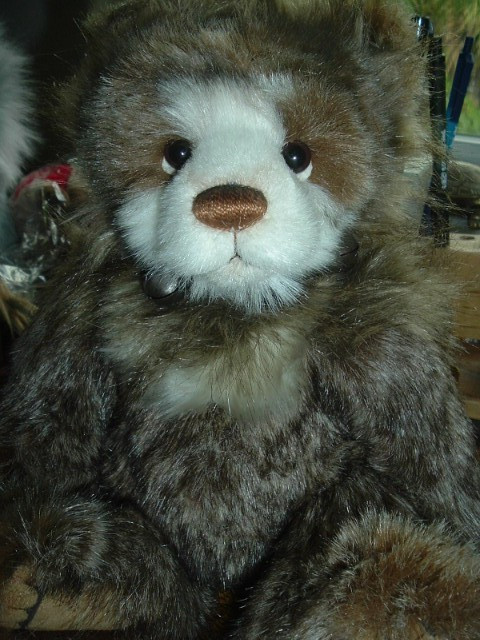 Anniversary Graeme, a 12 inch Bear from the Charlie Bears Plush Collection