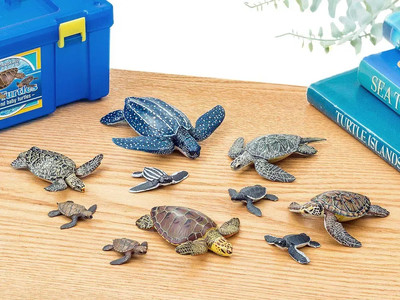 Japan NEW Colorata Sea Turtle Family Figure Box Set 10pcs with
