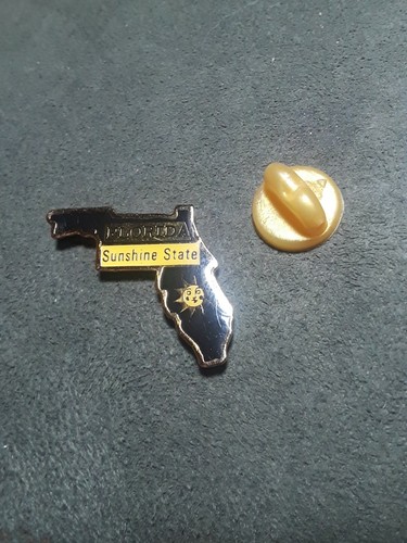 Florida Sunshine State Lapel Pin Tourist Souvenir - Picture 2 of 4