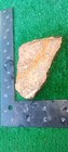 Rough Slab Yellow Dendritic Jasper 116g. 5/16" Thick Lapidary Cabbing #B-4 — photo 7