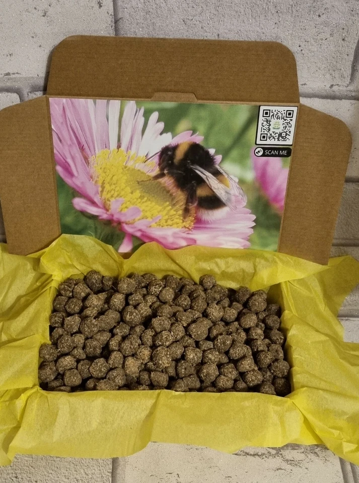 Bee Bombs Wildflower seeds gardener gift flowers meadow butterflies present ball - Image 2 of 4
