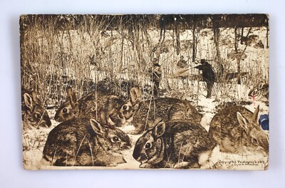 Vintage Postcard 1909 Hunters Aim For Monster Sized Rabbits Bunnies | eBay
