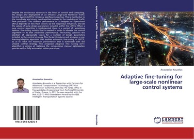 Adaptive Fine-tuning for Large-scale Nonlinear Control Systems Anastasios Kouvel