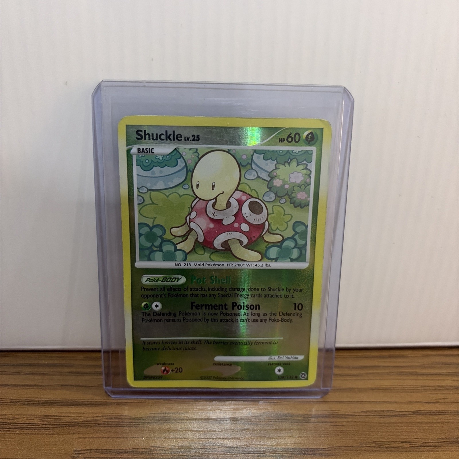 Shuckle 109/132 Common Secret Wonders Pokemon Reverse Holo Lightly Played