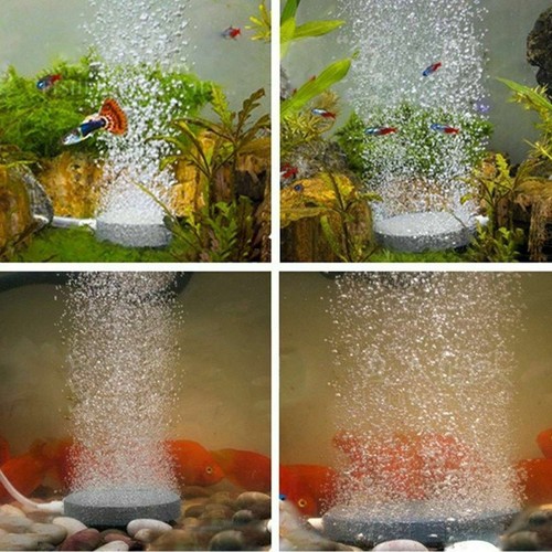 Air Bubble Disk Stone Aquarium Aerator Fish Tank Pump Hydroponics Oxygen 107mm - Picture 5 of 9