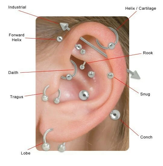 Septum ear best sale piercing
