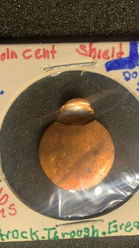 lincoln Cent shield No Date 2010/2024 Error Double Struck Through Grease Rare - Picture 14 of 14