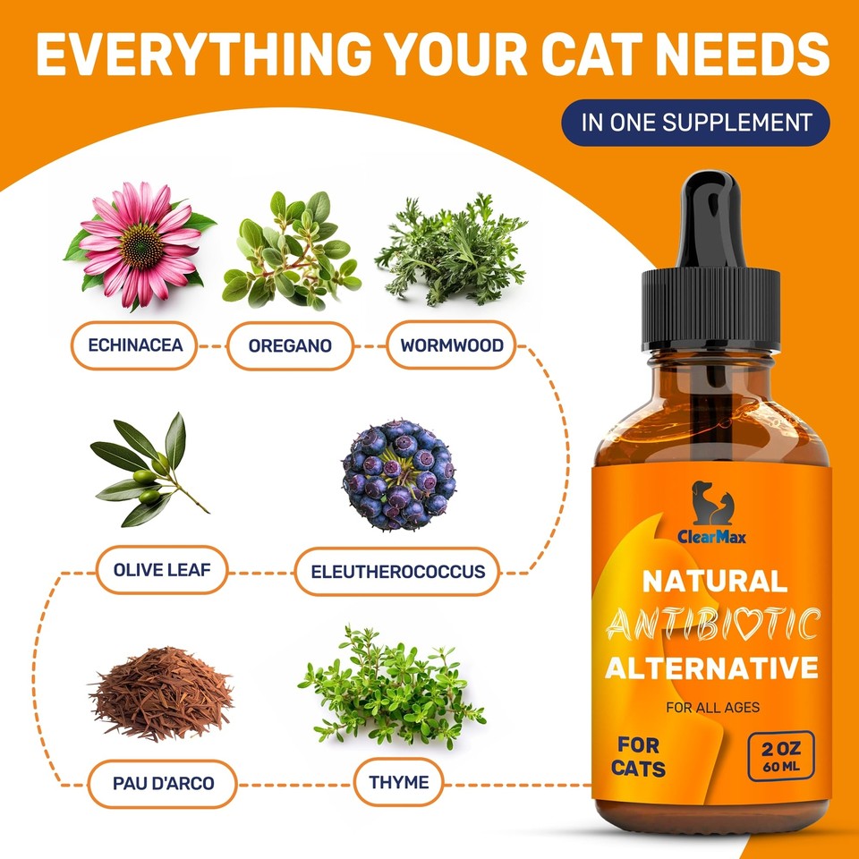 Antibiotics for Cats Cat Antibiotic Natural Antibiotics for Cats Cat An