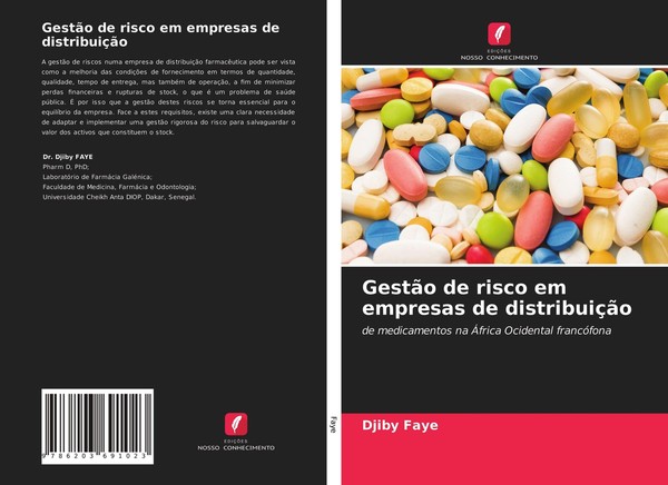 GestãO De Risco Em Empresas De DistribuiçãO Djiby Faye-image