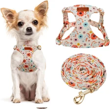 No Pull Floral Pattern Dog Harness- Lightweight and Soft Harness, Adjustable Sma