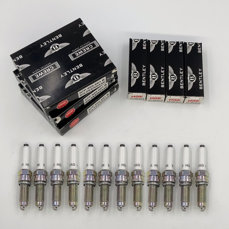 12X OEM Spark Plugs Fitting Bentley W12 6.0T 07P905601 A B W12