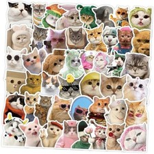 103PCS Funny Holographic Vinyl Cat Meme Stickers, Waterproof Cute Hilarious