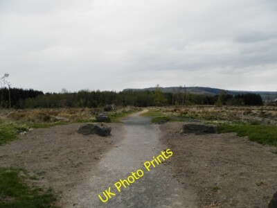 Foto 6x4 Fußweg nach Kelty im Blairadam-Wald Ein Großteil des Waldes hat keinen c2015