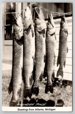 RPPC Fish Northern Pike Atlanta Michigan Greetings Postcard W25