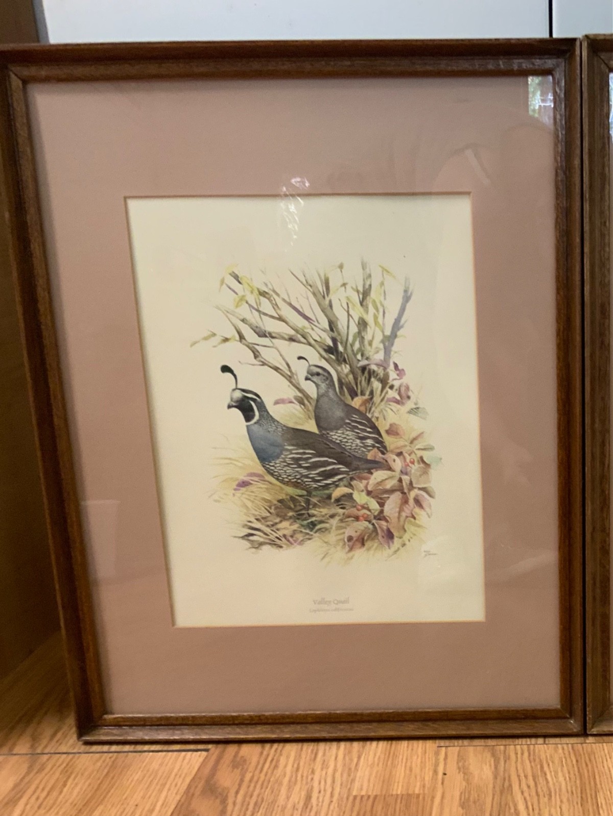 Pair of Vintage Ned Smith Game Bird Prints - Framed Ruffed Grouse & Valley Quail